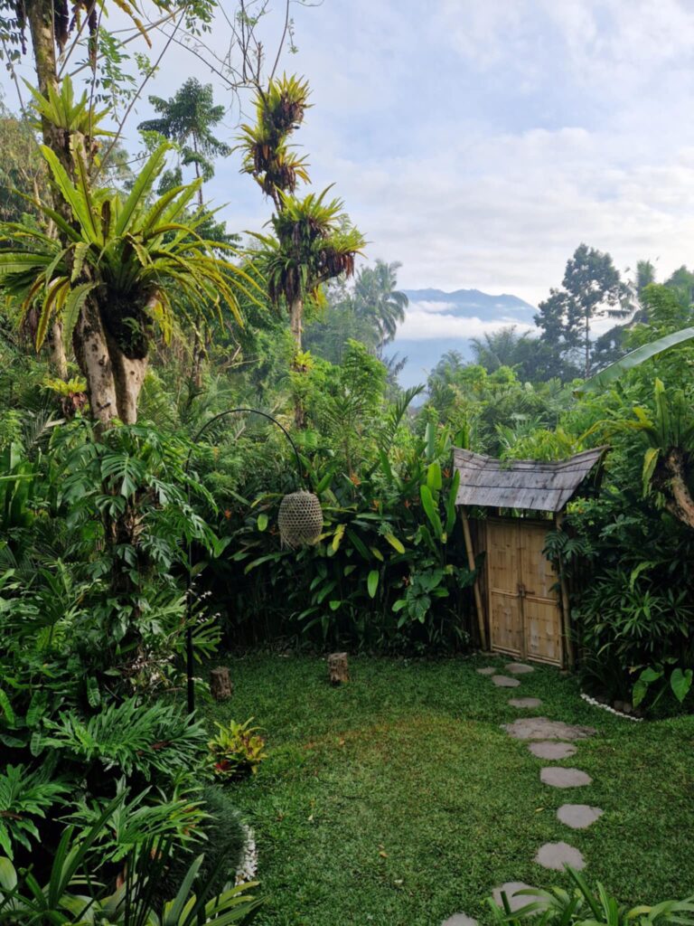 Arcada Bali widok