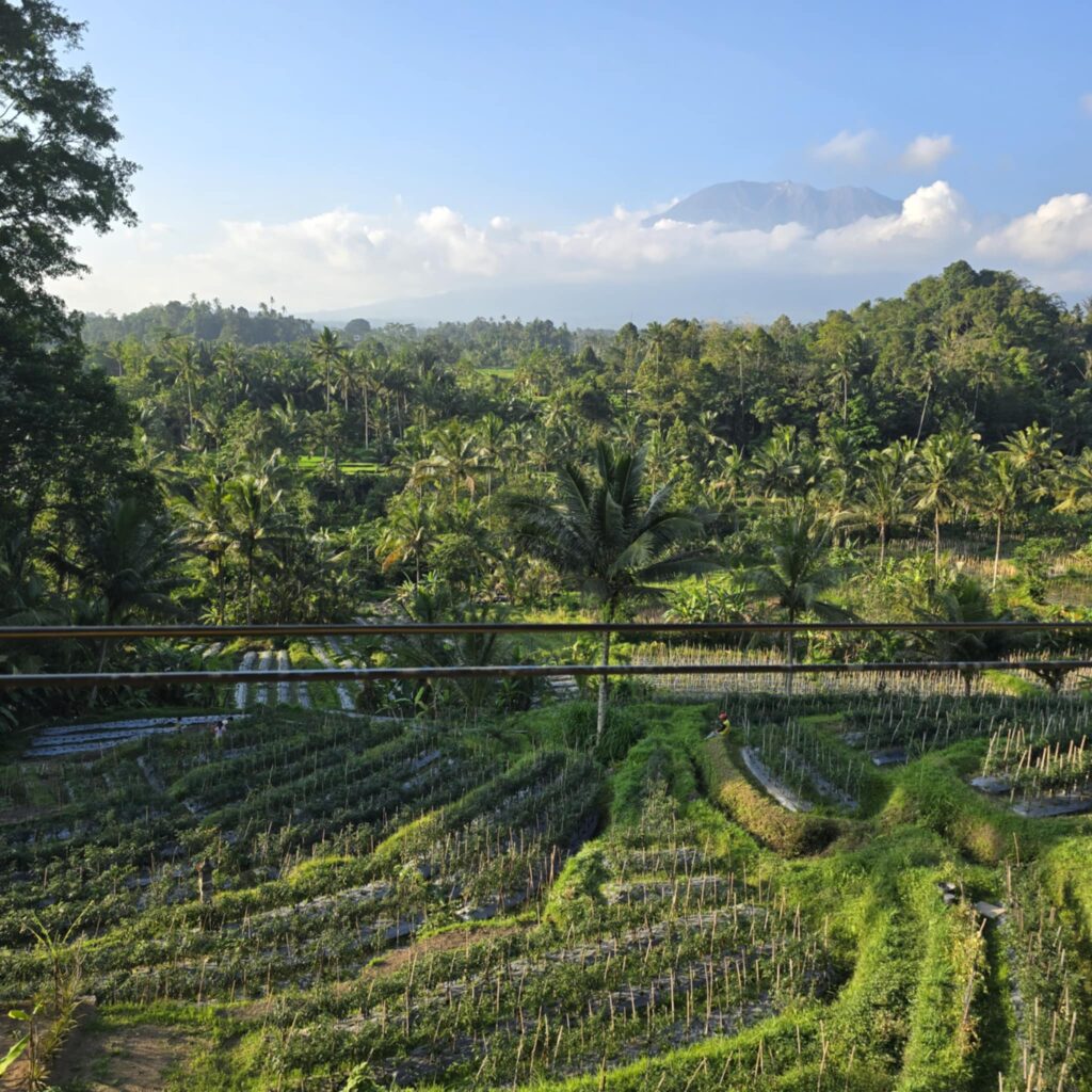 Sidemen bali 