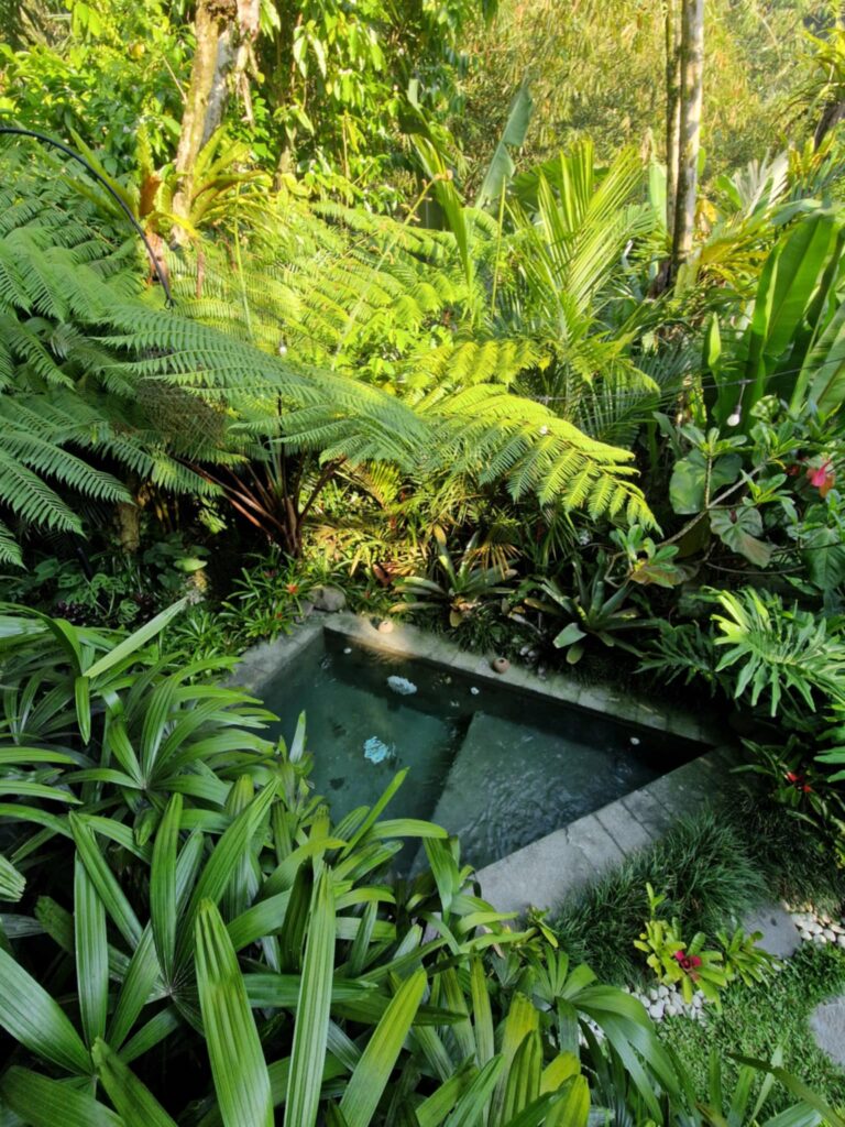 Arcada Bali basen
